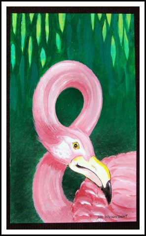 Bonaire Flamingo